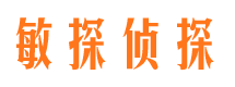 梅里斯市调查公司